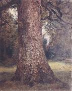 John Constable Study of the trunk of an elm tree china oil painting reproduction